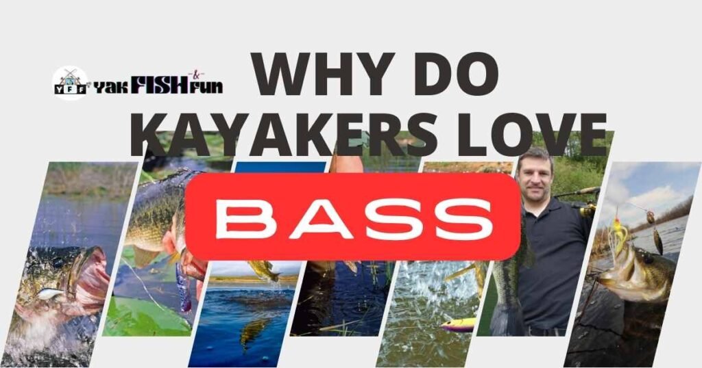 Why Do Kayakers Love Bass Fishing So Much?