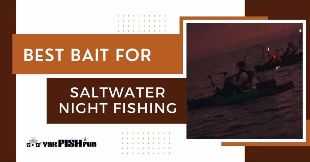 Best bait for saltwater fishing at night