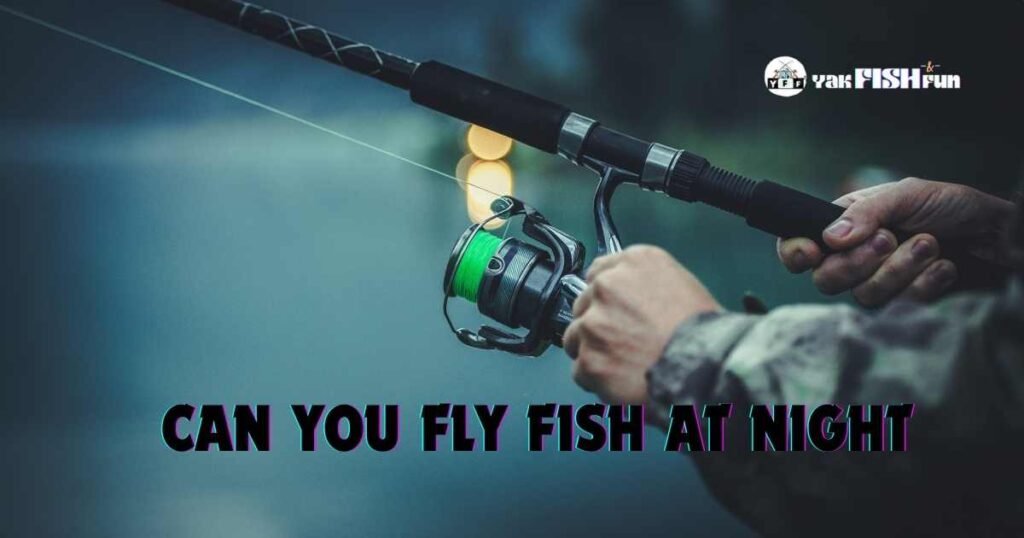 can you fly fish at night