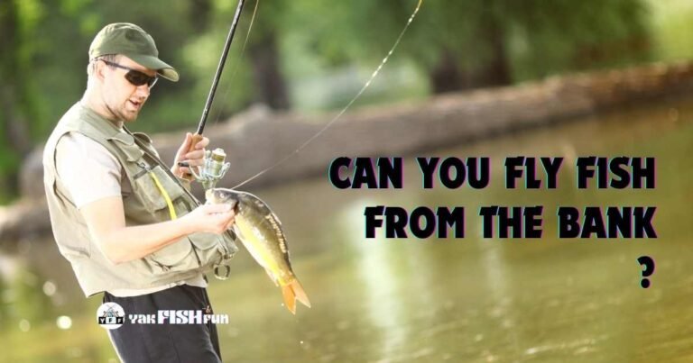 can you fly fish from the bank