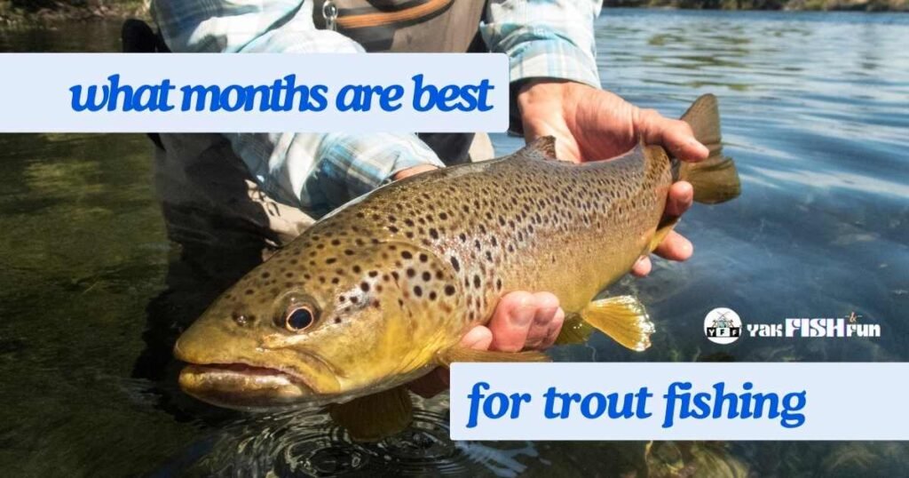 what months are best for trout fishing